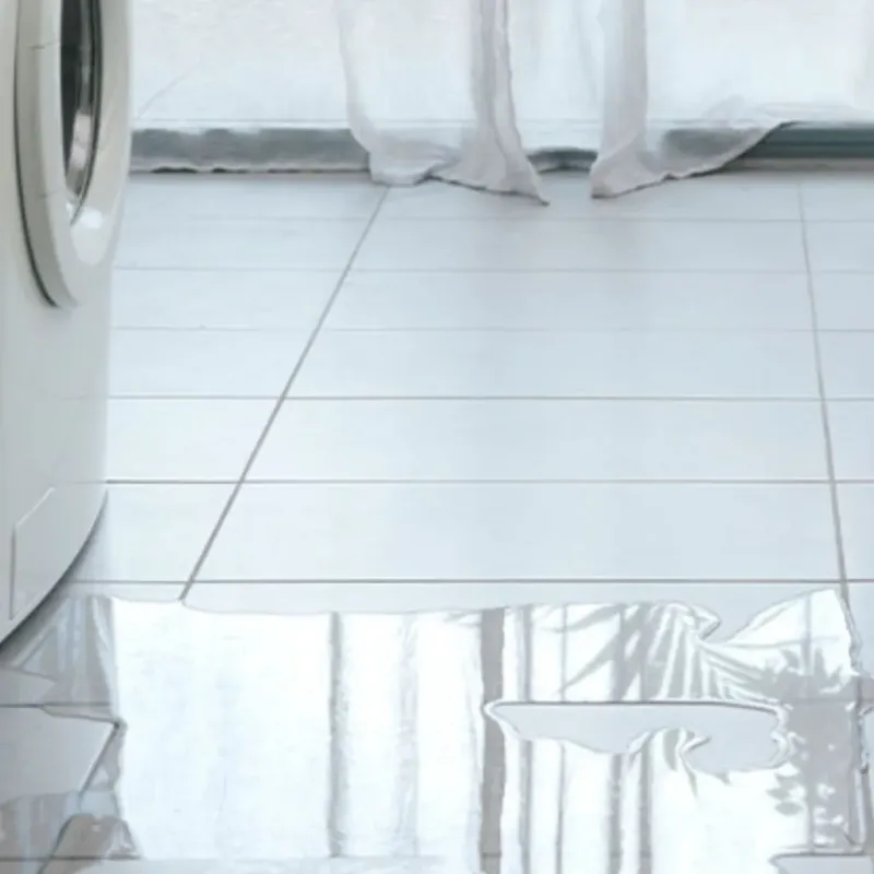 Appliance Leak Cleanup in Bridgeville, DE