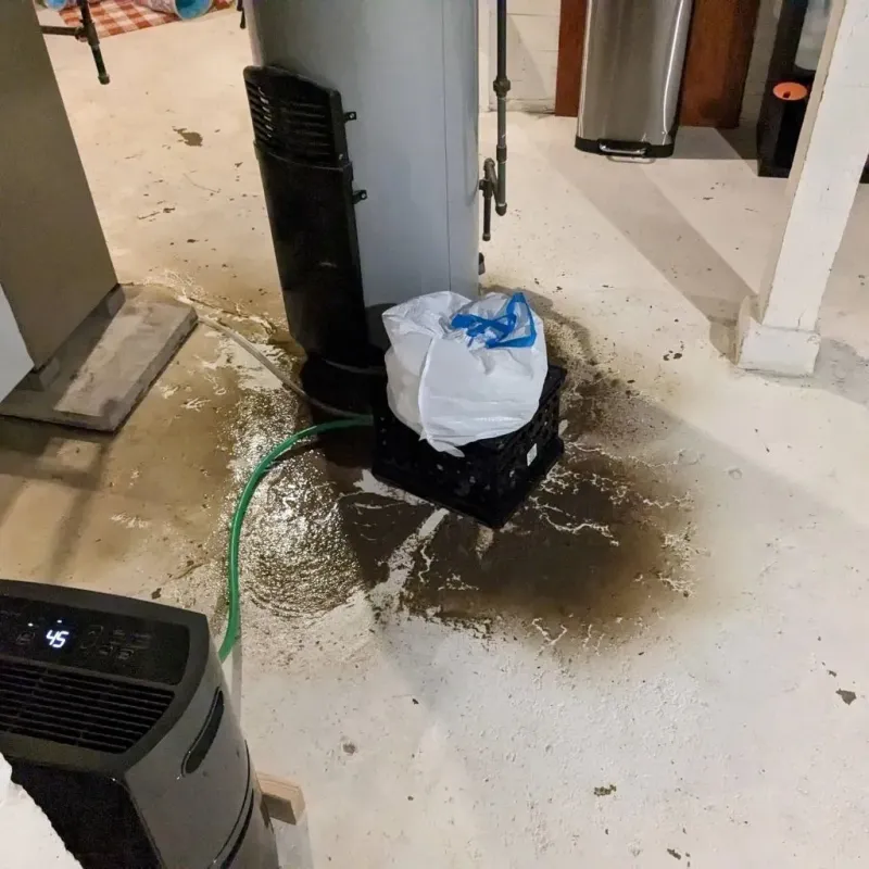 Sewage Backup Cleanup Service in Bridgeville, DE